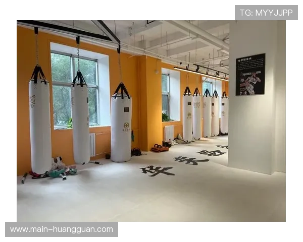 健身房综合格斗课程受欢迎,爱好者通过训练提升体能与自卫能力 健身房综合格斗课程受欢迎,爱好者通过训练提升体能与自卫能力